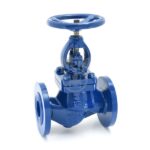 Neta C.S. Globe Valves | SR Associates