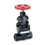 F.S. Globe Valves | SR Associates