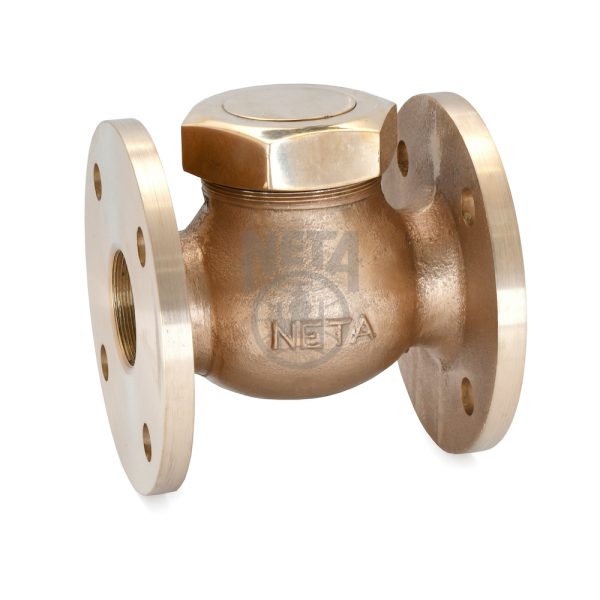 G.M. Union Cap N.R.V./ Check Valves | S.R. Associates