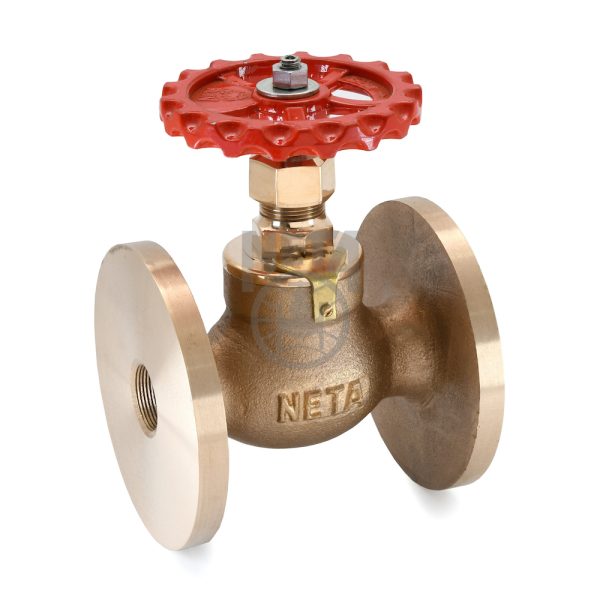 Neta G.M. Globe Valve IBR F/E | S.R. Associates