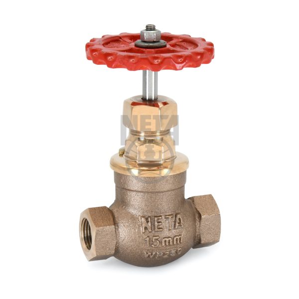 G.M. Globe Valves | S.R. Associates