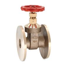 Neta GM Gate Valve F/E | S.R.Associates