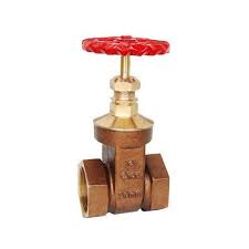 Qinn GM Gate Valve | SR Associates
