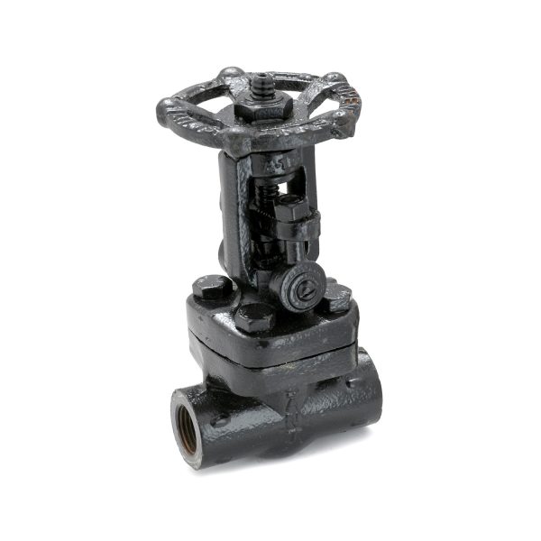 Sant F.S. Gate Valves | S.R. Associates