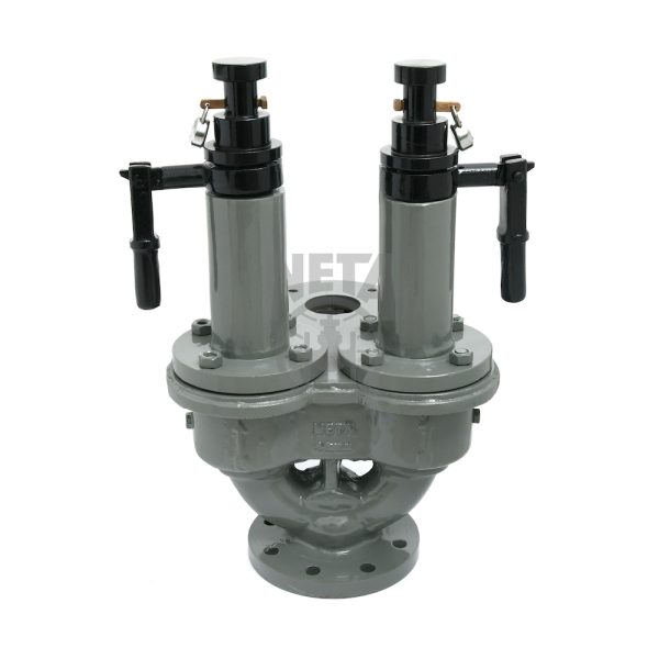 Neta C.I. Double Post Safety Valves- IBR | S.R. Associates