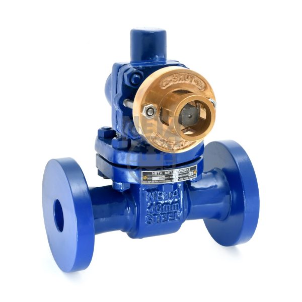 Neta C.S. Blow Down Valves F/E | S.R. Associates