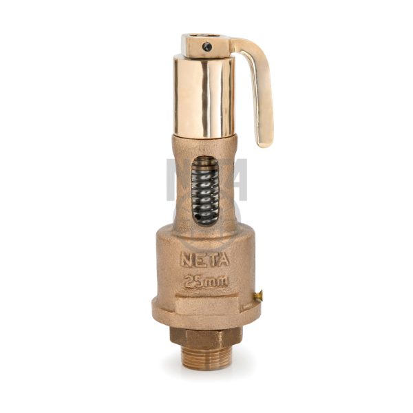 Neta G.M. Open Safety Valves- IBR | S.R. Associates