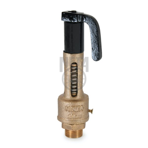 Neta Open Safety Valves- IBR | S.R. Associates