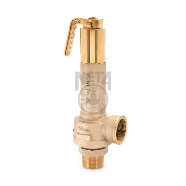 Neta G.M. Angle Safety Valves- IBR | S.R. Associates