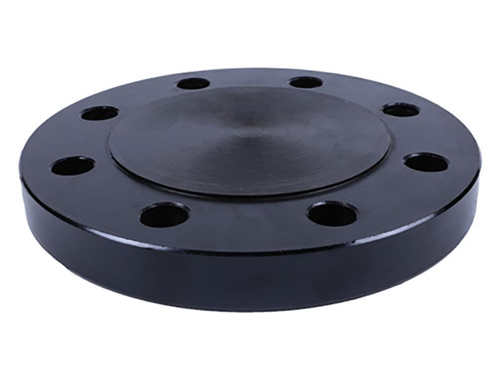 M.S. Blind Flange | S.R. Associates