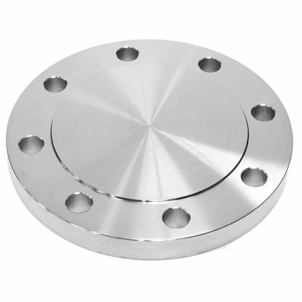 S.S. Blind Flange | S.R. Associates